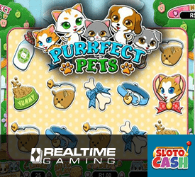 Enjoy 111% Match + 33 Free Spins with Sloto Cash's Purrfect Pets Slot